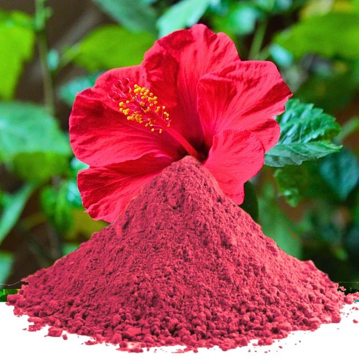 Hibiscus Powder