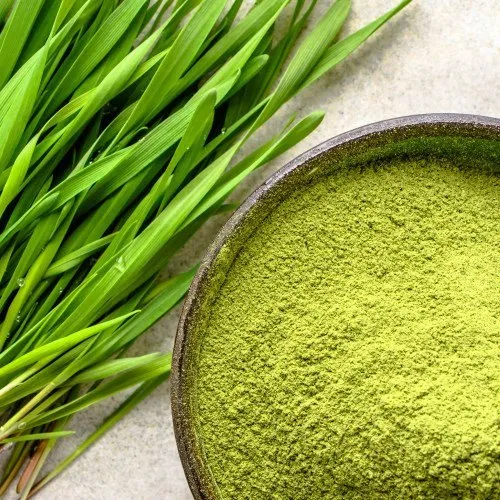 Organic Wheatgrass Powder
